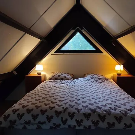 Vrijstaande Recreatiebungalow Met Slaapvide