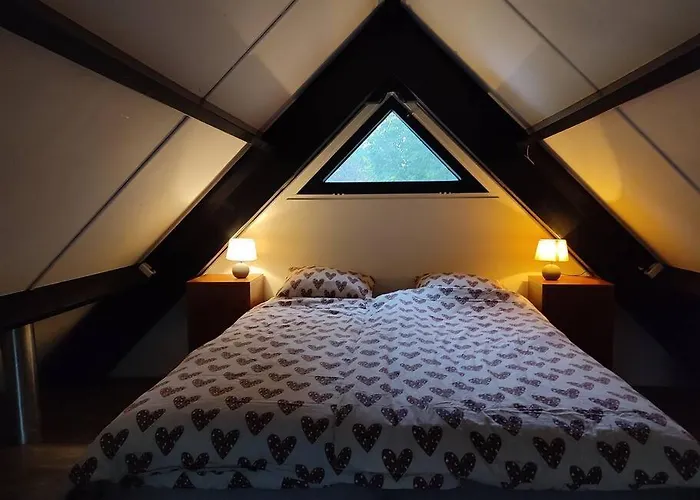 Vrijstaande Recreatiebungalow Met Slaapvide