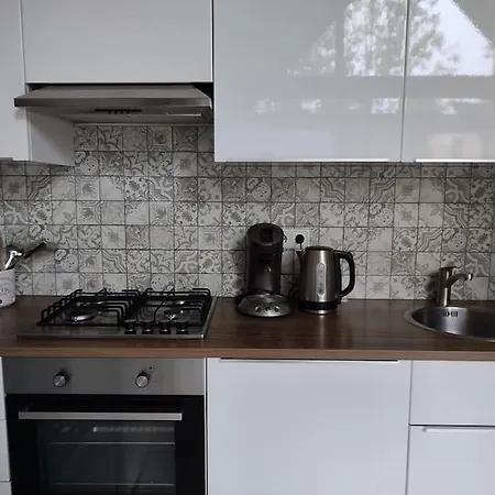 Vrijstaande Recreatiebungalow Met Slaapvide