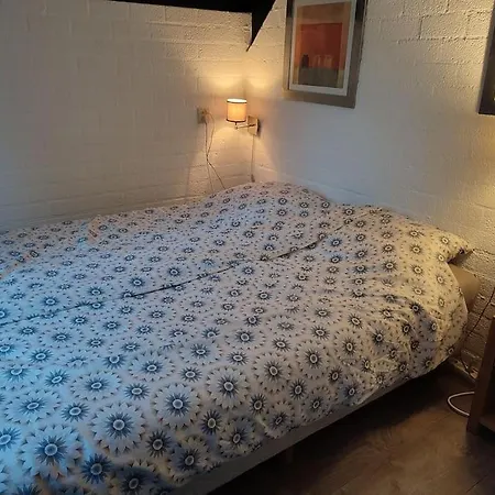 Vrijstaande Recreatiebungalow Met Slaapvide Posterholt